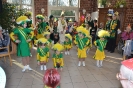 Karneval 2018_5